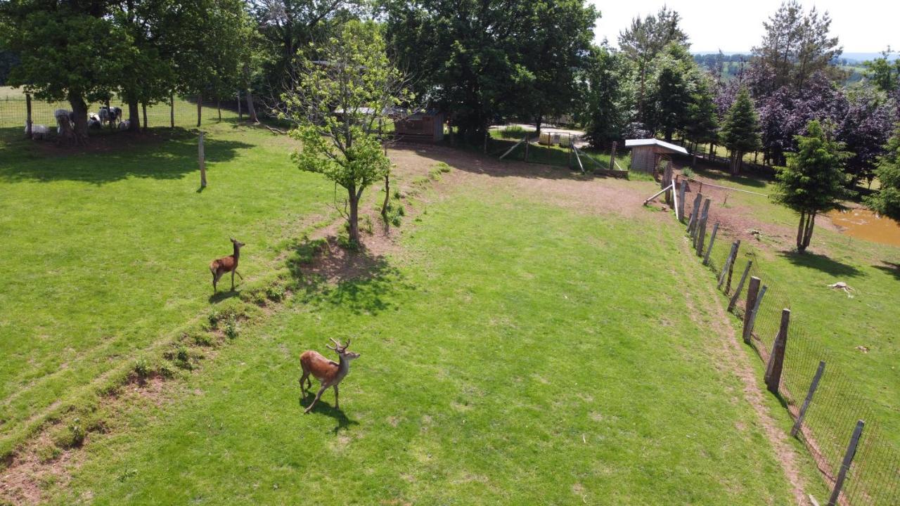 Le Noir Flohay 30 Pers - Malmedy, Vue, Wellness Villa Eksteriør billede